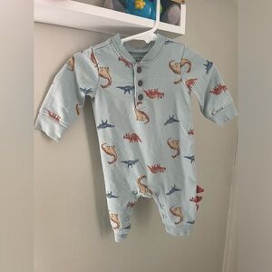 New born/0-3 onesies